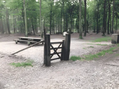 Hundeskov Sdr. Plantage Hundeskov (Varde hundeskov)