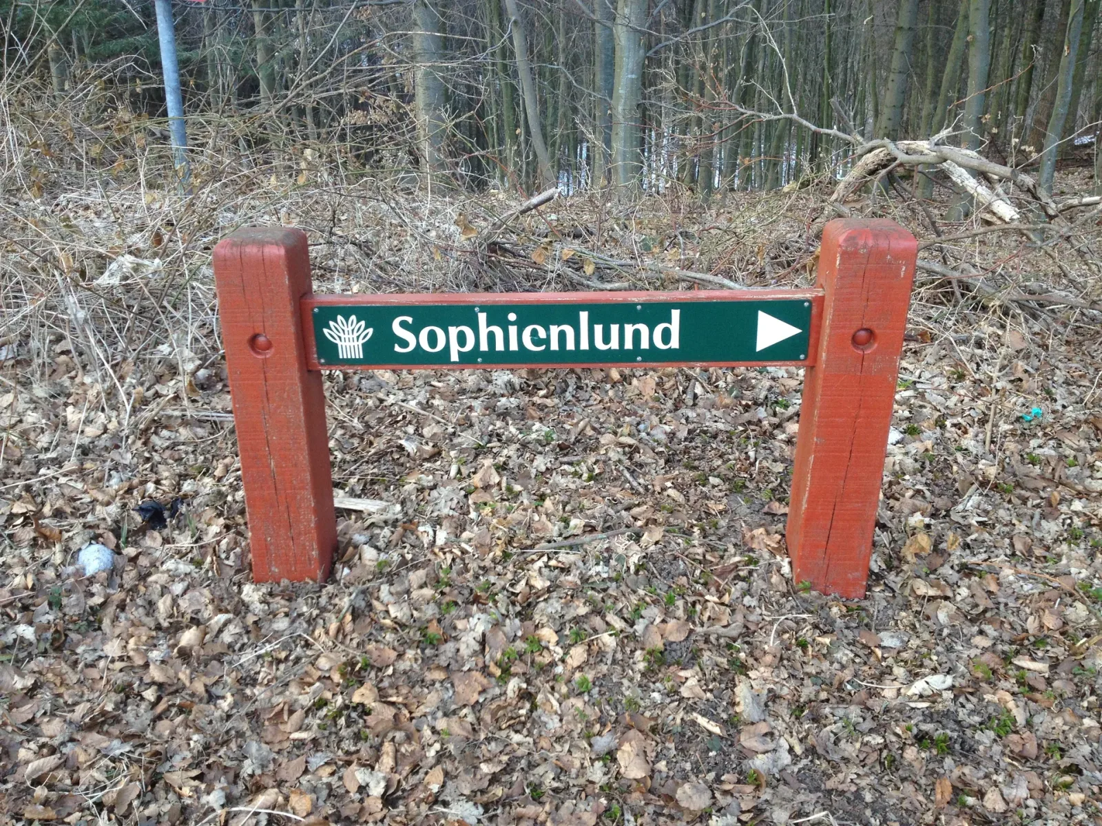 Sofienlund Skov billede 1