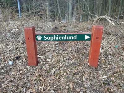 Hundeskov Sofienlund Skov