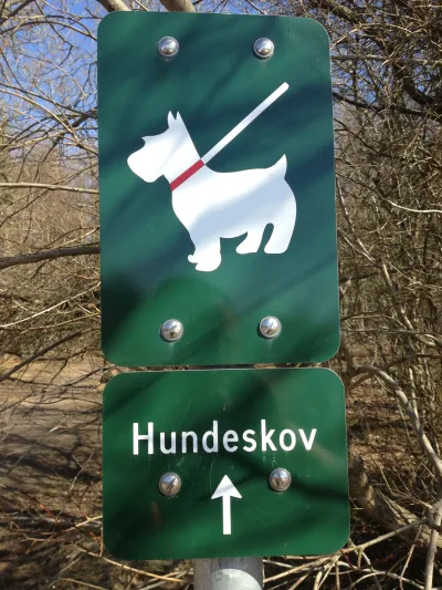 Hundeskov Frodeslund Plantage (Sdr. by Plantage)