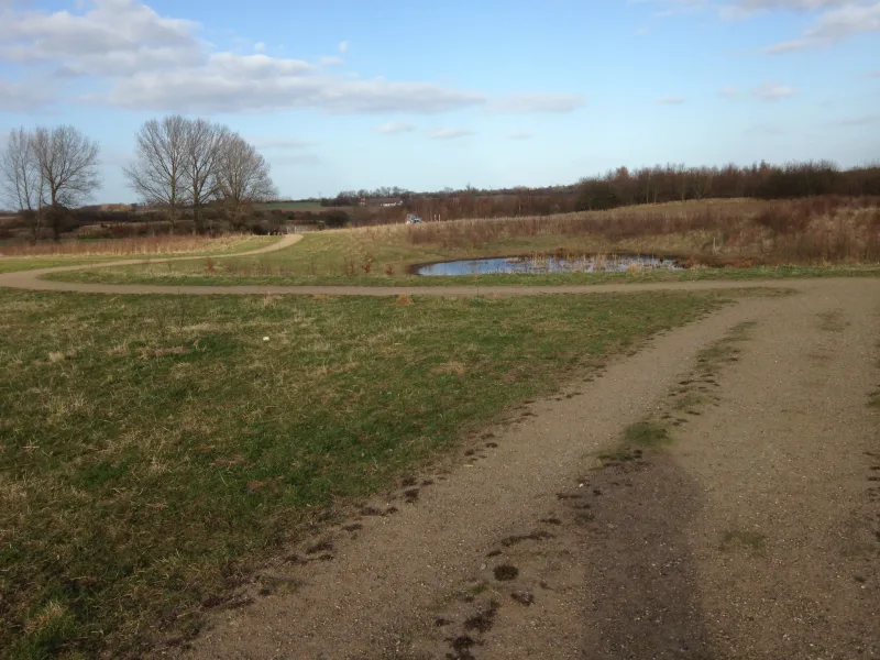 Kattebjerg Hundeskov (Allesø) billede 2