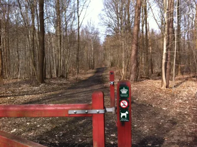 Hundeskov Tokkekøb Hegn