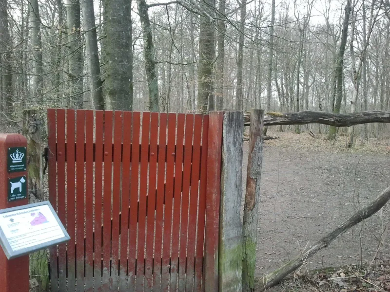 Kærskoven – Ølstedskoven billede 2