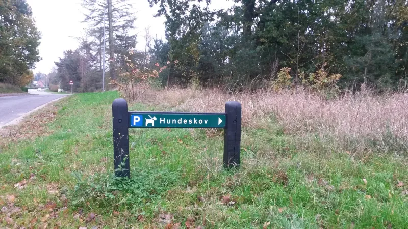 Hadsund Lilleskov Hundeskov billede 4