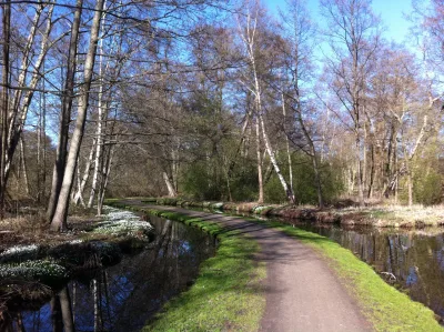 Frederiksborg Slotshave (hundepark) billede 2