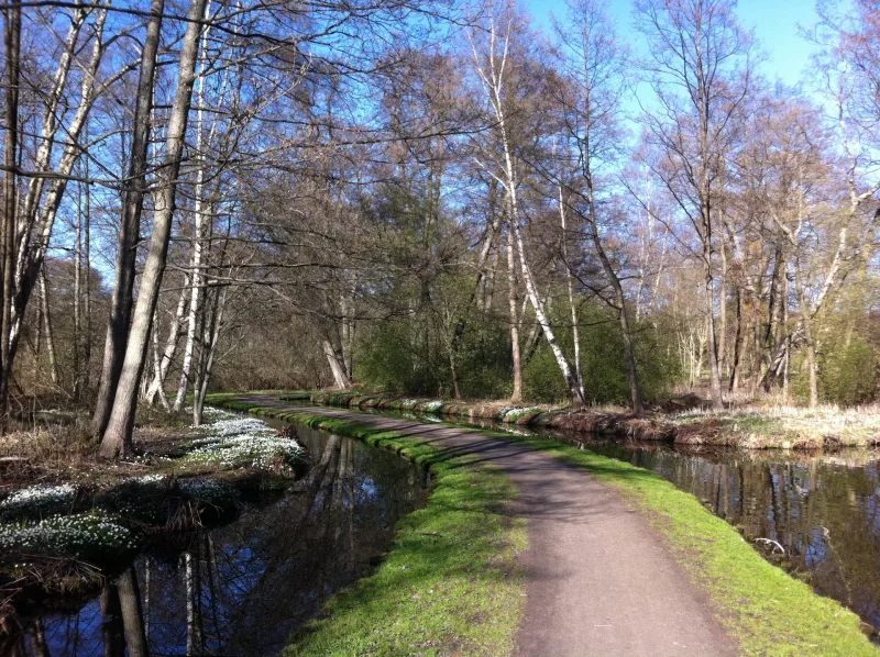 Frederiksborg Slotshave (hundepark) billede 2