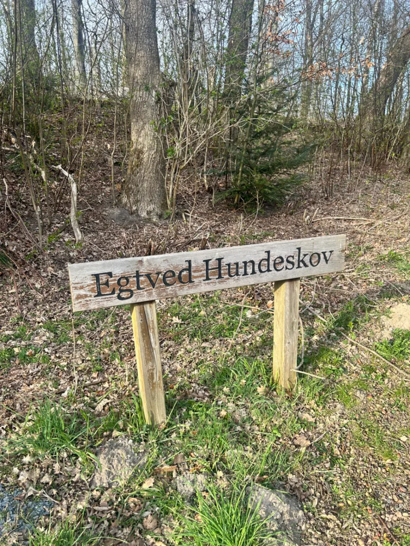 Egtved Hundeskov billede 2
