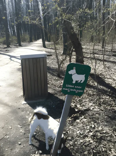 Østskoven v. Bakkeskoven billede 3