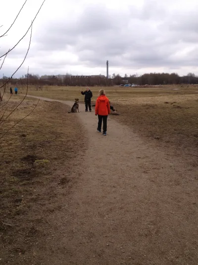 Hundeskov Solbjerg Hundeskov