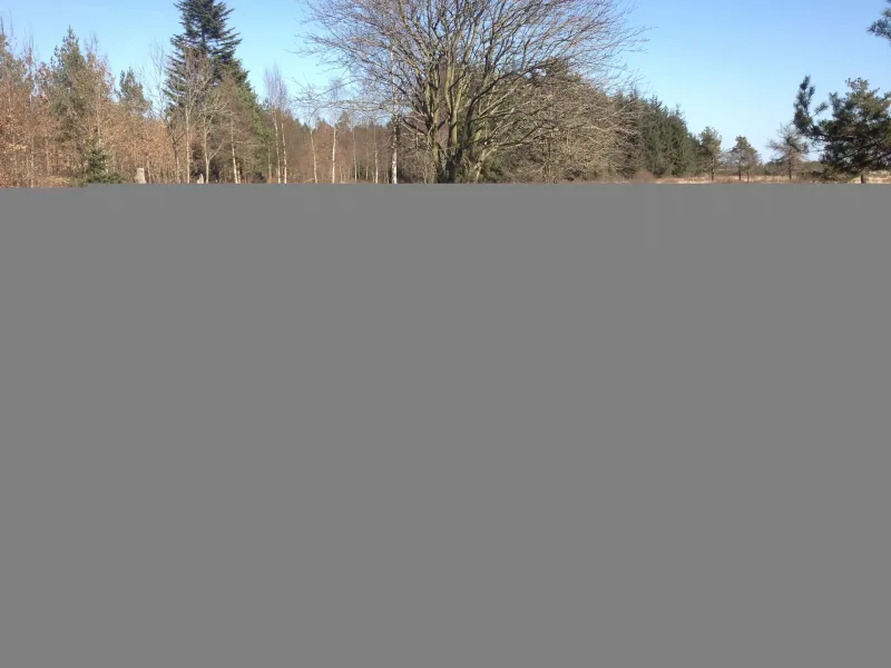 Gyttegård Plantage flere billeder