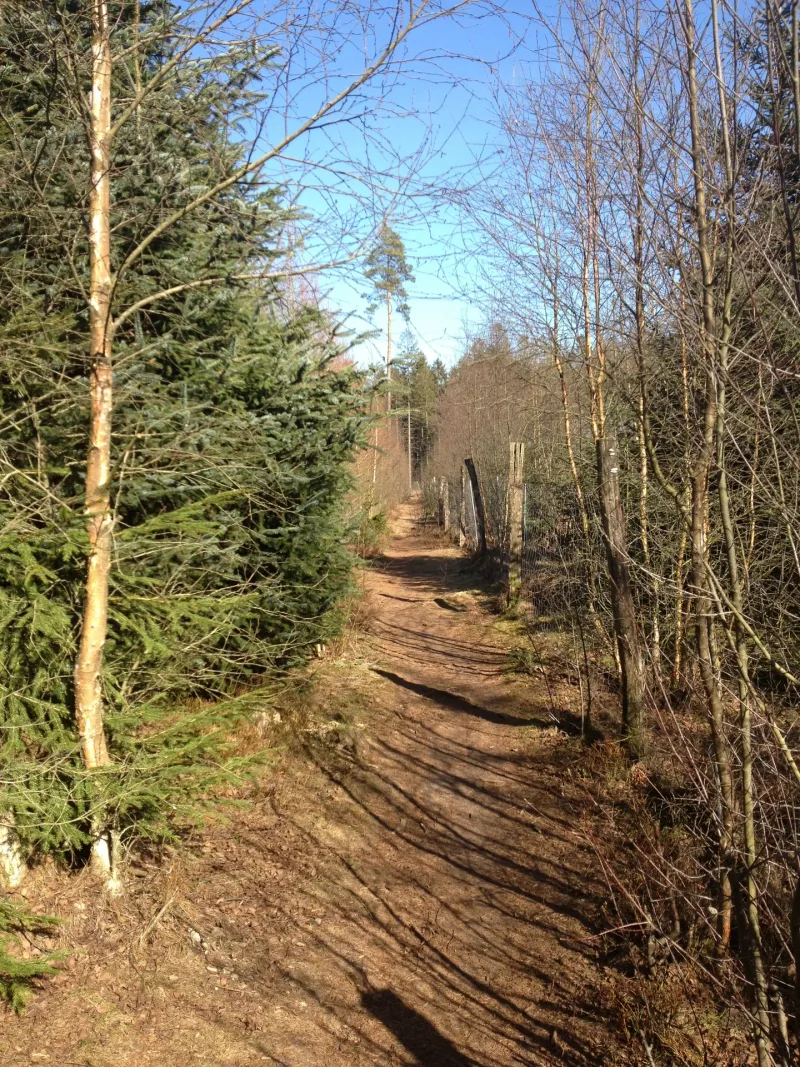 Gyttegård Plantage billede 4