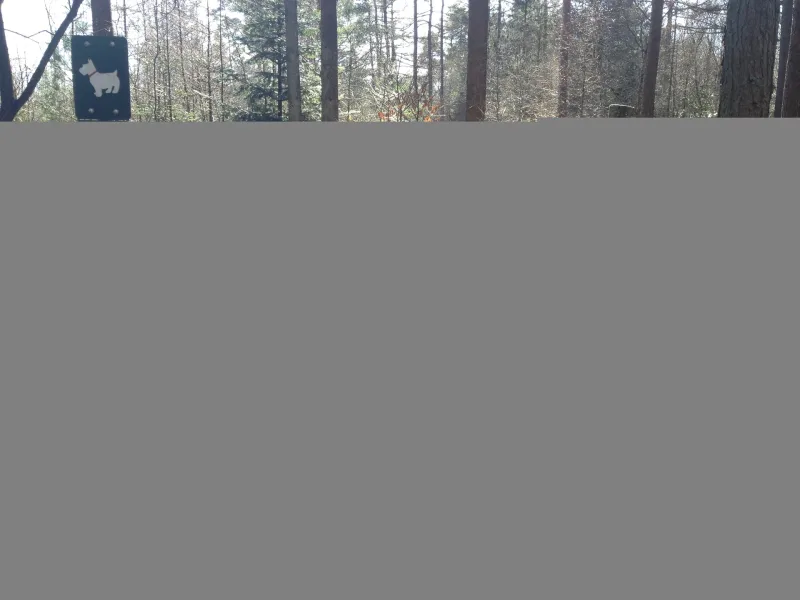 Frodeslund Plantage (Sdr. by Plantage) billede 4