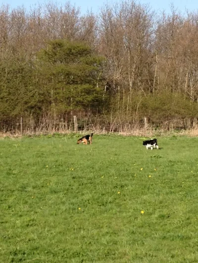 Hedeland billede 2