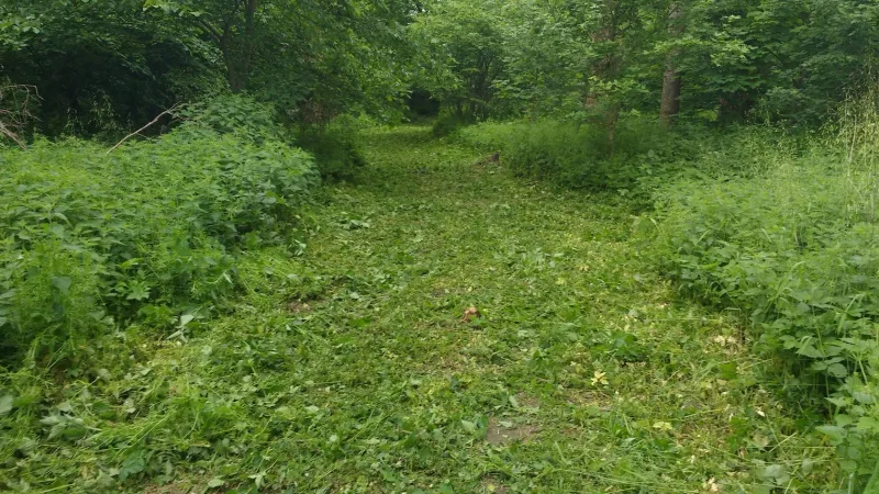 Nr. Broby Hundepark (Nørre Broby) billede 2