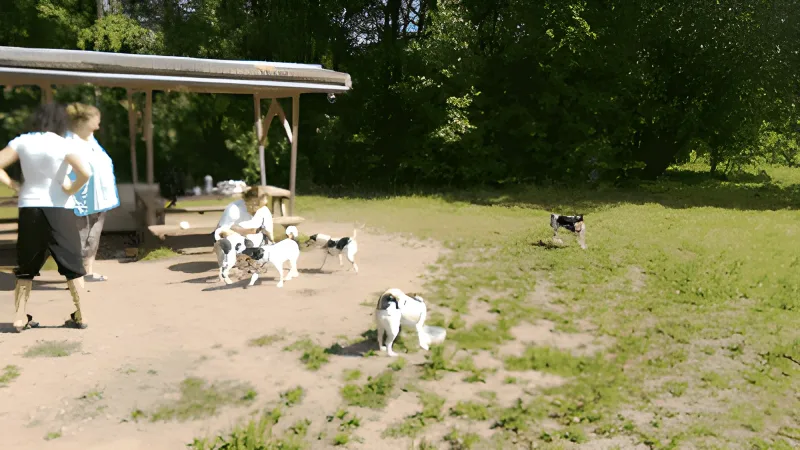 Hedeland Hundepark (Hedehusene Hundeskov) billede 4