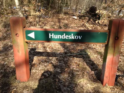 Hundeskov Bevtofte Plantage Hundeskov