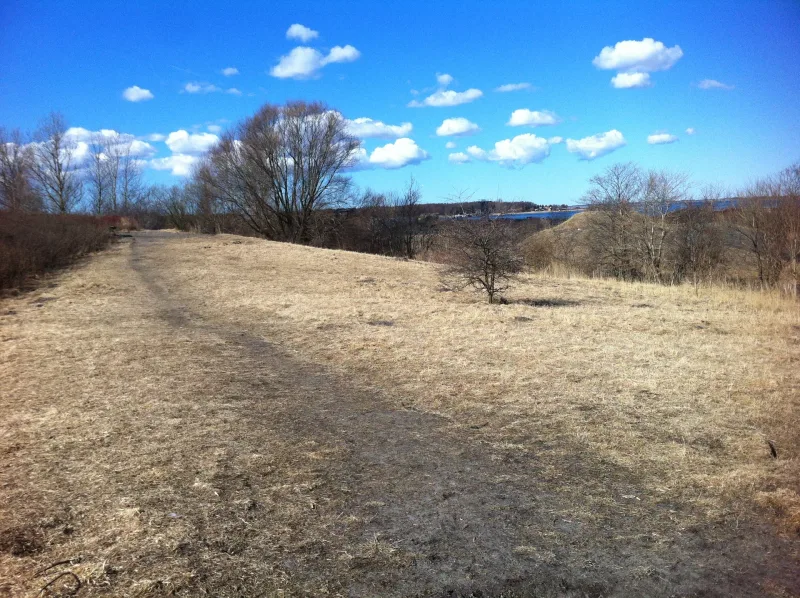 Strandparken flere billeder