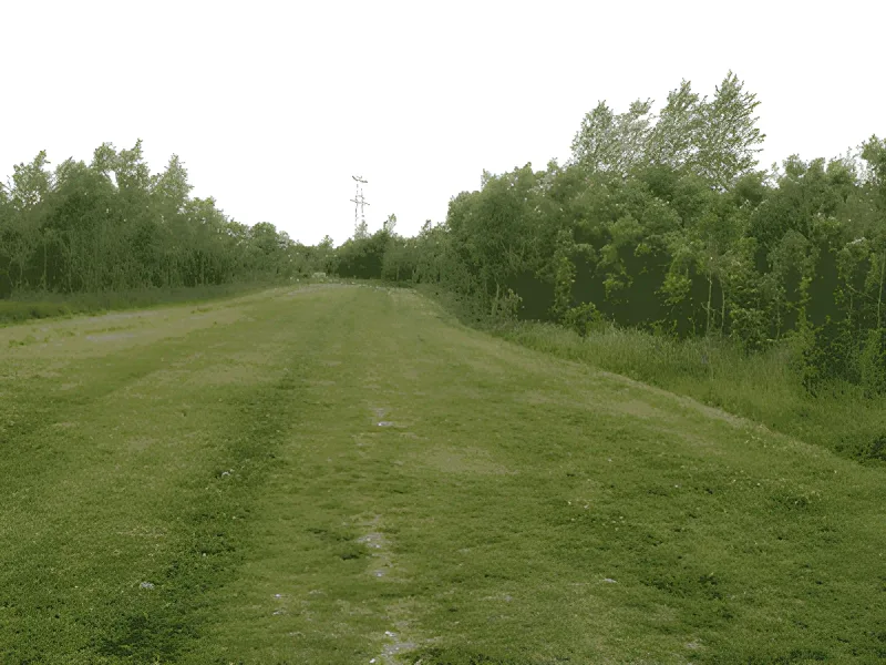 Bærmoseskov, Trige billede 2