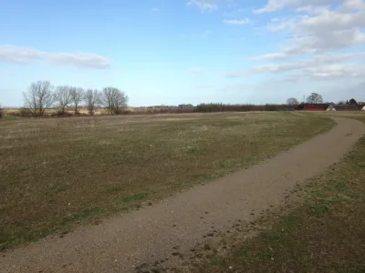 Hundeskov Kattebjerg Hundeskov (Allesø)