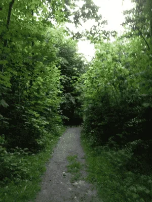 Storskoven, Bidstrup Skovene flere billeder