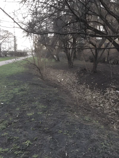 Ågadeparken fritløbsområde billede 2
