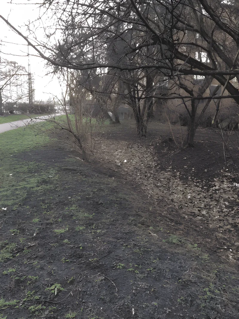 Ågadeparken fritløbsområde billede 2