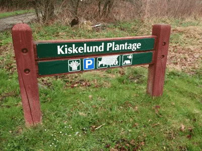 Hundeskov Kiskelund Plantage