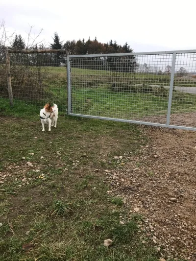 Kær Vestermark billede 2