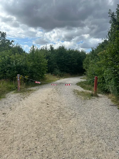 Hundeskov ved Rugballegård skov billede 3