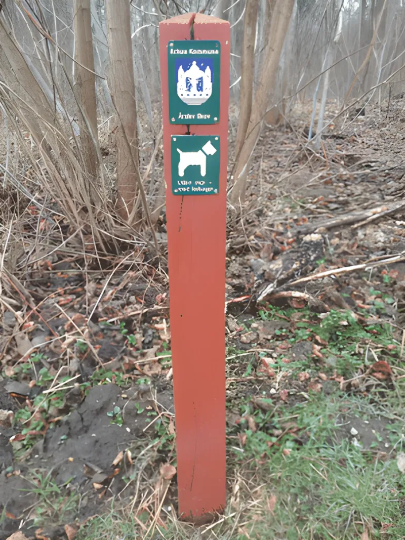 Årslev Skov billede 2
