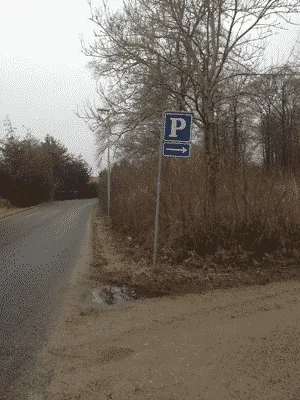 Hundeskov Årslev Skov