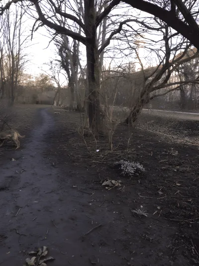 Ågadeparken fritløbsområde billede 4