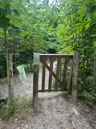 Hundeskov Hundeskov ved Rugballegård skov