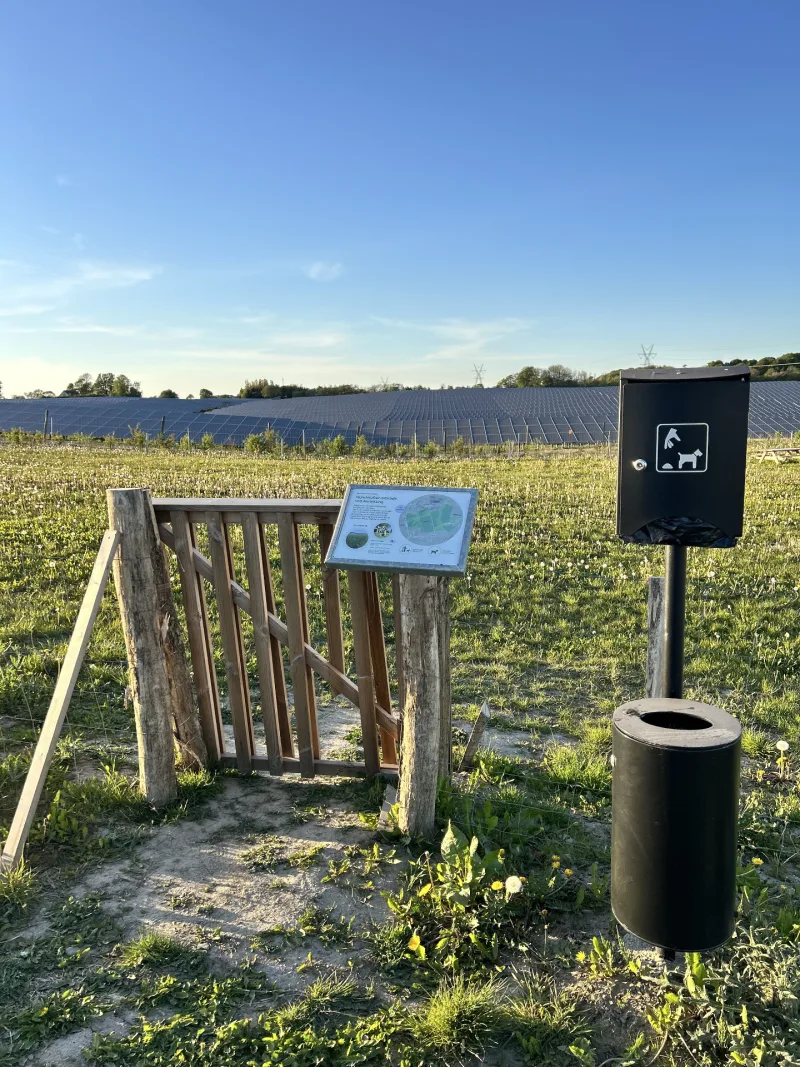 Viuf hundepark billede 1