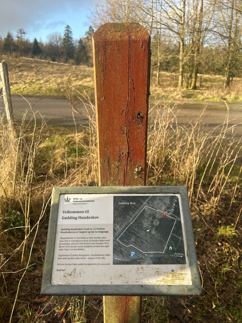 Gødding Skov Hundeskov billede 2