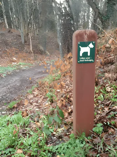 Kiskelund Plantage billede 2