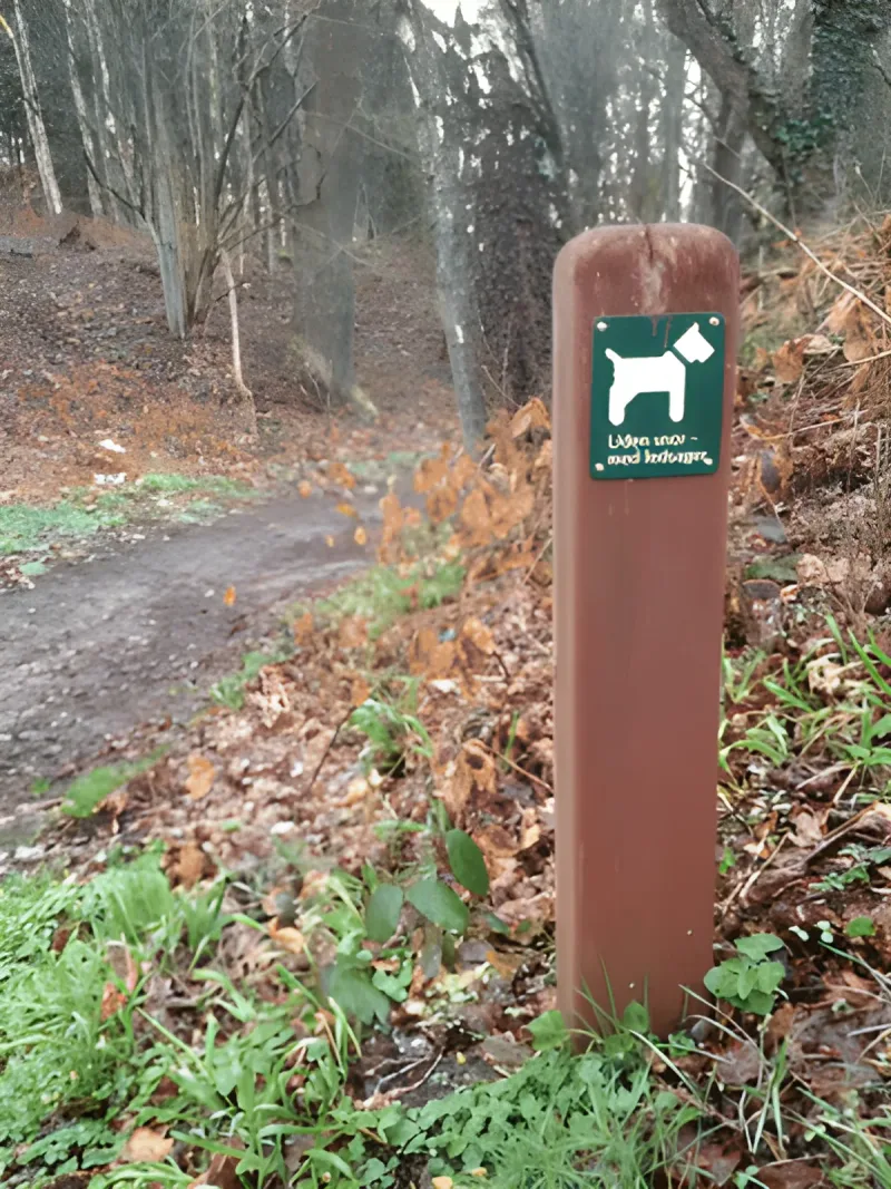 Kiskelund Plantage billede 2