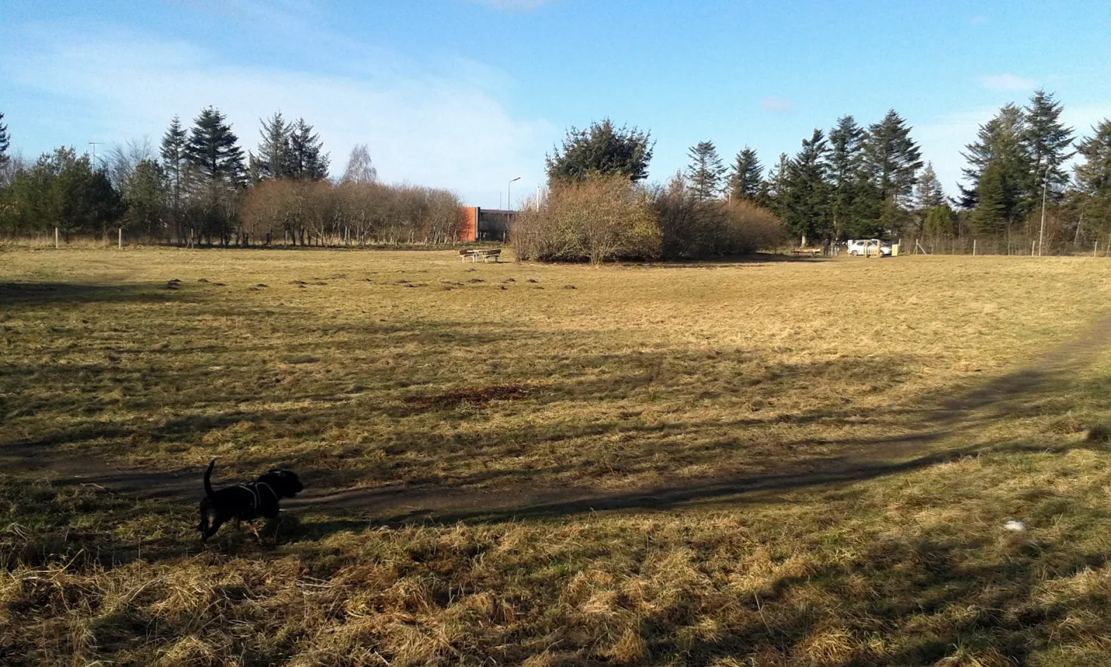 Hundemark i Hjørring (syd) billede 1