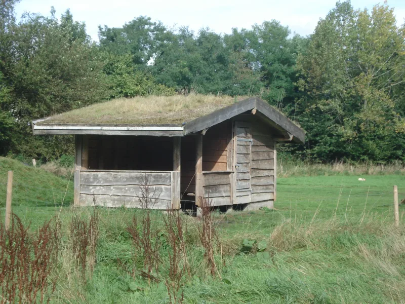 Willeruplund Hundeskov flere billeder