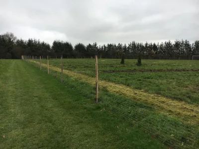 Lørslev Hundehave billede 3