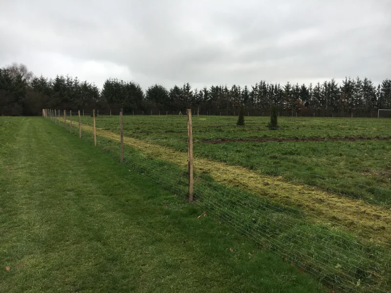 Lørslev Hundehave billede 3