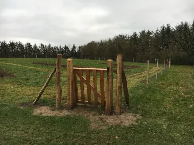 Hundeskov Lørslev Hundehave