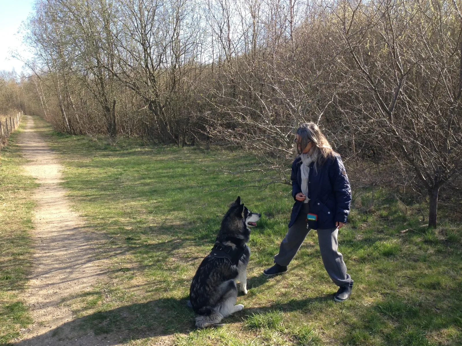 Hedeland Hundepark (Hedehusene Hundeskov) billede 1