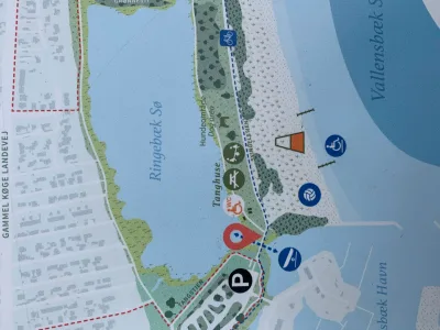 Hundeengen ved Vallensbæk Strandpark billede 4