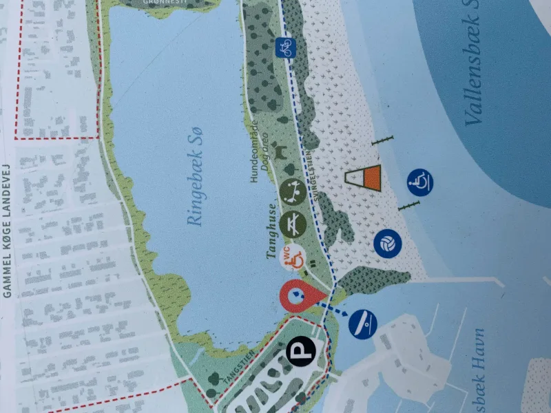 Hundeengen ved Vallensbæk Strandpark billede 4