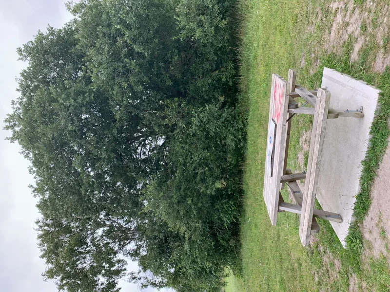 Hundeengen ved Vallensbæk Strandpark flere billeder