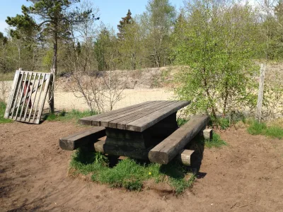 Tvis Hundeskov billede 4