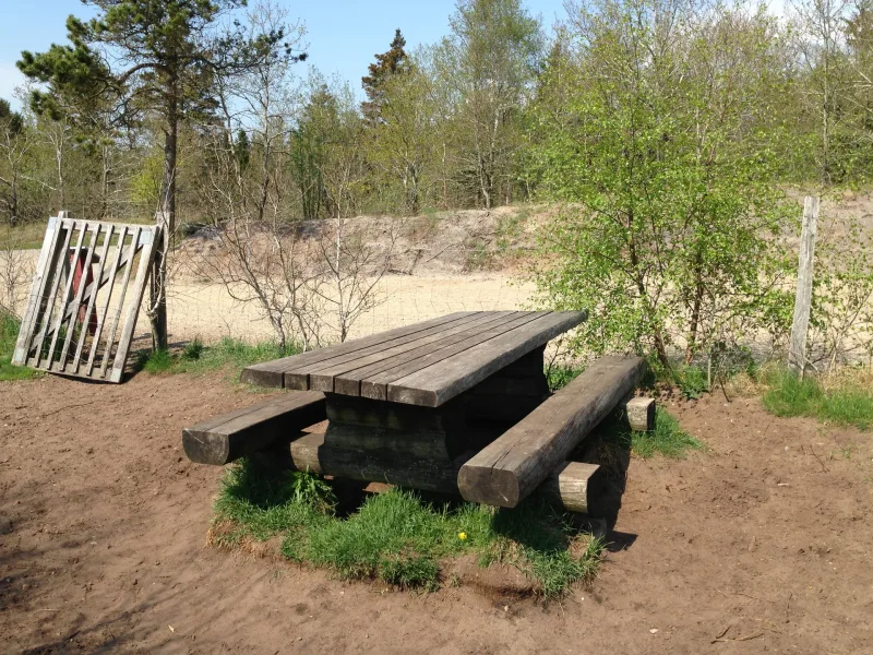 Tvis Hundeskov billede 4