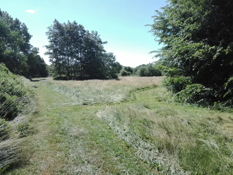 Nr. Broby Hundepark (Nørre Broby) billede 4