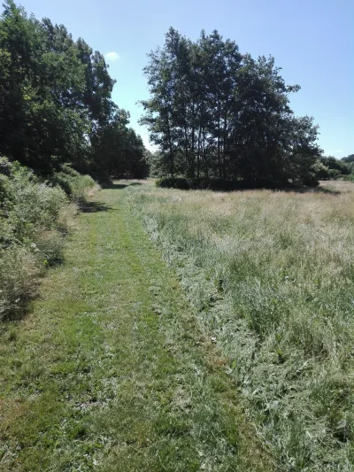 Nr. Broby Hundepark (Nørre Broby) billede 3